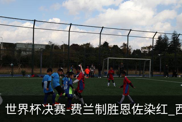 世界杯决赛-费兰制胜恩佐染红 西班牙加时1-0阿根廷夺冠