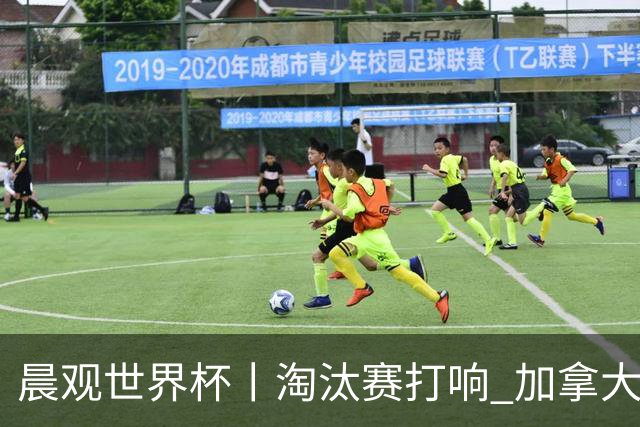 晨观世界杯丨淘汰赛打响 加拿大“绝杀”首进16强