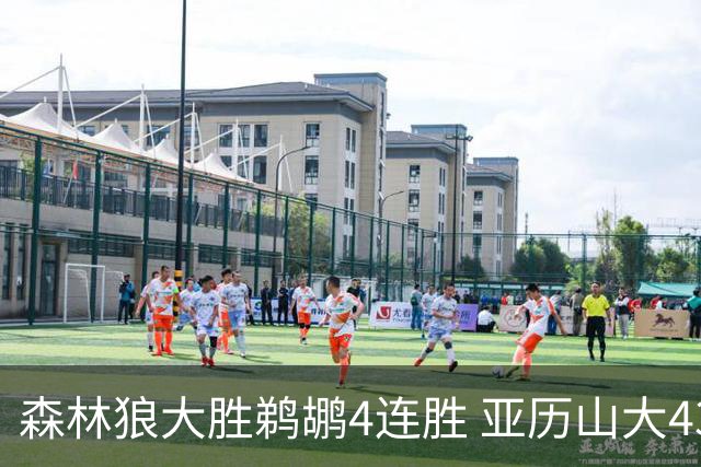 森林狼大胜鹈鹕4连胜 亚历山大43分雷霆克骑士