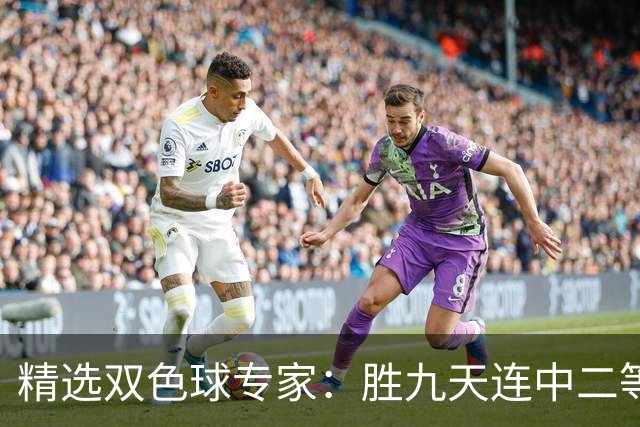 精选双色球专家：胜九天连中二等和5+1揽300万
